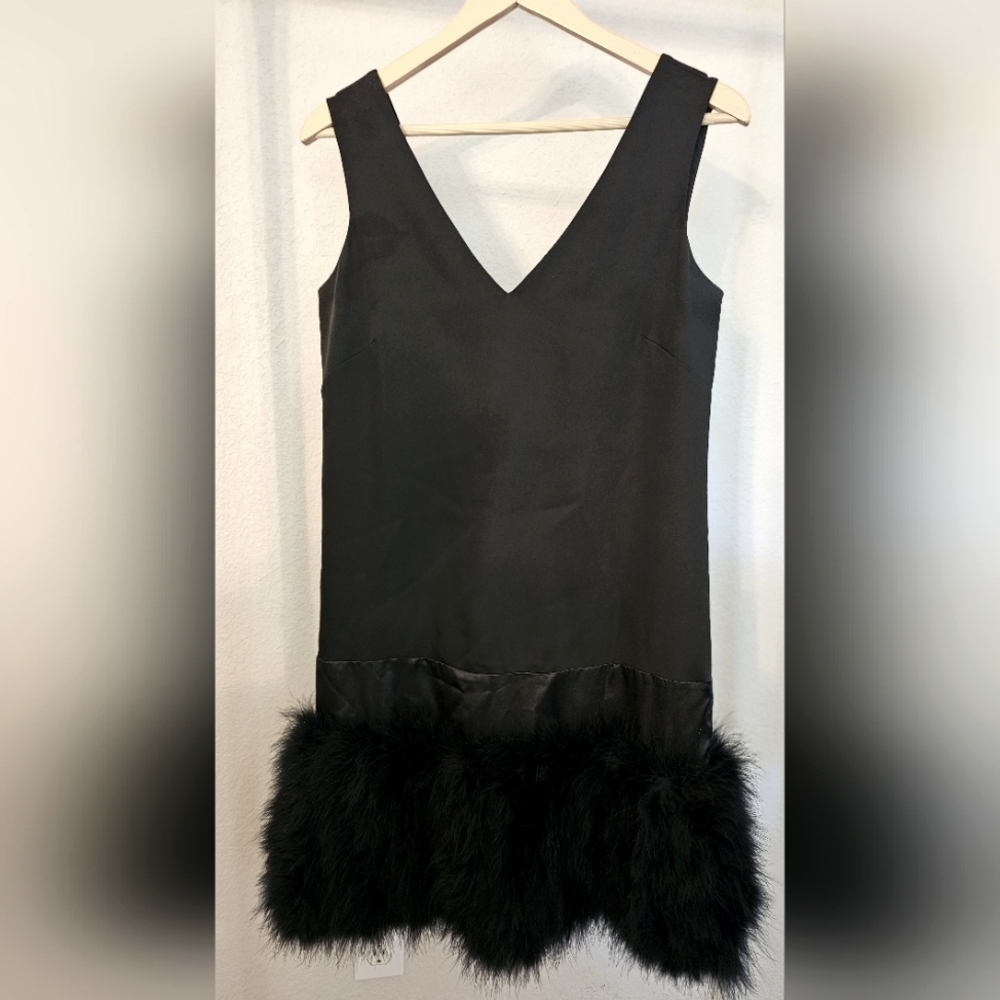 BCBG MaxAzria, size 2, Black with feather hem